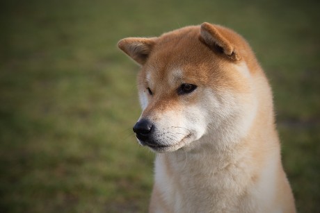 79538937_2453066255010518_5503762528376717312_o