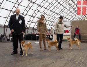 Tř. mladých: 1. JUKI PN, 2. KICHIRO PN img_1895.jpg