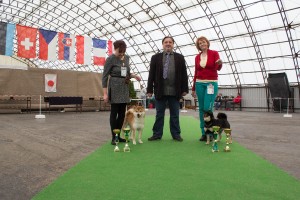 Zleva: Klubový vítěz pes+maj., rozhodčí Ing. Jančík, Klubová vítězka fena a BOB+maj. img_1935.jpg