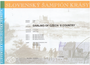 slovensky-sampion-darling-of-czech--s-country-1.png
