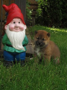 L´ TAMI Prima Nova img_6844.jpg