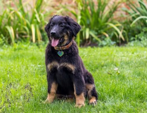 fenka USCHI Gasko Prim img_2151.jpg