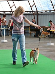 Dar Chingiza Laurels Branch dar-chingiza-laurels-branch-2.jpg