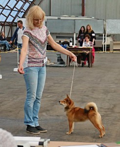 MANAMI Prima Nova manami-prima-nova-3.jpg