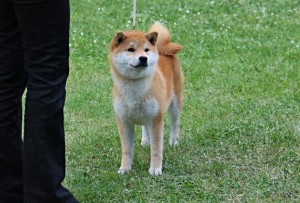 Dar Chingiza Laurels Brunch Dar Chingiza Laurels Brunch