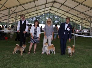 Paní rozhodčí Zdenka Jílková - Interdog MB 2017 Paní rozhodčí Zdenka Jílková - Interdog MB 2017