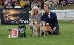 Pár psů - 3. místo, Interdog MB 2017, Dar + Kawaii a Jan Čech Pár psů - 3. místo, Interdog MB 2017