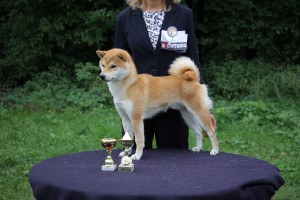 Dar Chingiza Laurel´s Brunch - CAJC, Vítěz speciální výstavy mladých - BOJ dar-chingiza-laurels-brunch-sv-2017--2-.jpg