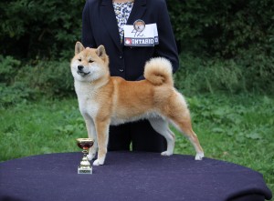 Kawaii Kamiwaza kawaii-kamiwaza-sv-2017--3-.jpg