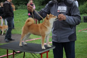 Nani Prima Nova nani-prima-nova--2-.jpg