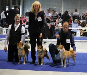 Zleva: Lukáš a Kichiro Prima Nova - CAC, Národní vítěz, Jana a Manami Prima Nova - CAJC, BOS, Honza a Dar Chingiza laurel´s Brunch - CAJC, BOJ, BOB, 3. místo v soutěži JBIG! nvp-brno-2017---vitezna-trojka.jpg