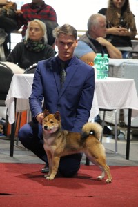 Junior handling - Petr Žák a Manami Prima Nova 1 intercanis-brno-2017---manami-prima-nova-na-svem-prvnim-juniorhandlingu---3.-misto-----2-.jpg