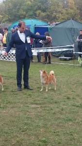 C.I.B. HINAGIKU Prima Nova /AGI/ 22690674_1658740267533790_1338605173_o.jpg