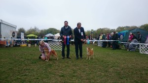 C.I.B. HINAGIKU Prima Nova /AGI/ 22712744_1658740564200427_713194818_o.jpg