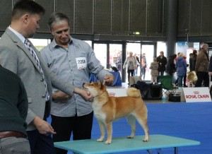 NANI Prima Nova + Miloš Solovský, sobota - Exc. 2/3 nani-prima-nova---mvp-brno--3.2.2018--v2.jpg