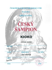 kioko-diplom--cesky-sampion.jpg