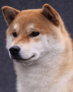 Dar Chingiza Laurels Brunch Dar Chingiza Laurel´s Brunch /