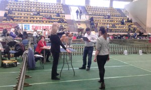 Dar Chingiza Laurels Brunch cwc-swiebodzice-walbrzych--25.3.2018--1-.jpg