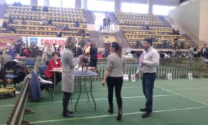 Mladá fena Izabely Reiter cwc-swiebodzice-walbrzych--25.3.2018--24-.jpg