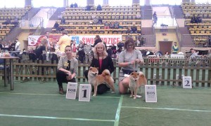 Paní rozhodčí Ewa Górska, Dar a Kawaii cwc-swiebodzice-walbrzych--25.3.2018--36-.jpg