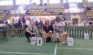 Paní rozhodčí Ewa Górska, Dar a Kawaii cwc-swiebodzice-walbrzych--25.3.2018--40-.jpg