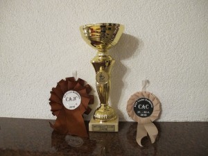 Zleva: Kokardička CAJC Kawaii, pohárek CACIB a kokardička CAC Naminky... img_0932.jpg