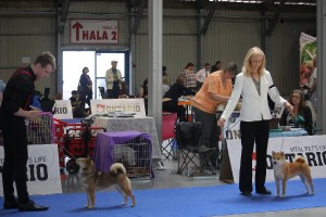 Manami Prima Nova a Lukáš Balcar + Kawaii Kamiwaza a já 31956701_1664678186946319_2577045381930024960_o.jpg