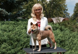 JCh. Manami Prima Nova -cid_i08553286863989569.jpg