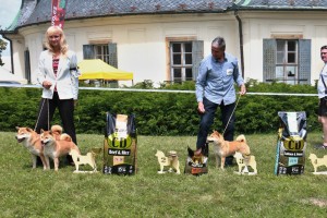 Dar Chingiza Laurels Brunch + Kawaii Kamiwaza = BOS + BOB, JCh. Nani Prima Nova - CAJC, BOJ -cid_i07103249575338834.jpg