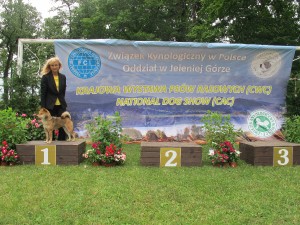 Manami Prima Nova jelenia-gora-2018--71-.jpg