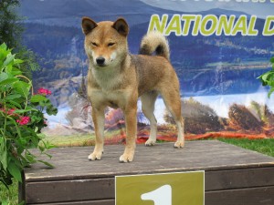 Manami Prima Nova Manami Prima Nova