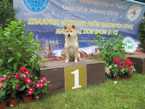 Kawaii Kamiwaza Kawaii Kamiwaza