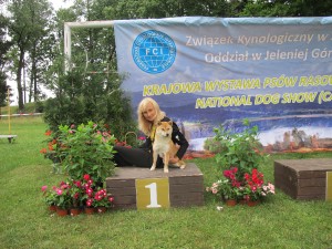 Kawaii Kamiwaza Kawaii Kamiwaza