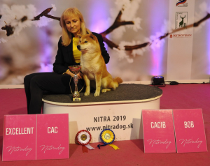 Dar Chingiza Laurels Brunch - 2x CACIB, 2x BOB + užší výběr 8e331f30-3e21-4a2c-839f-29217b2fec81.png