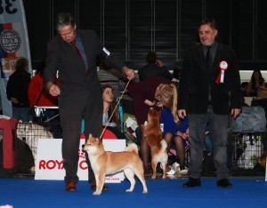 Nani Prima Nova 51124237_2131098753595121_9190212020291502080_n.jpg