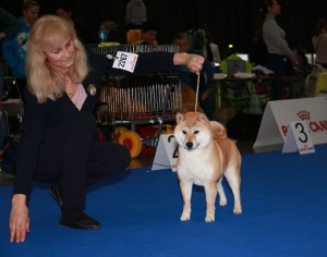 Kawaii Kamiwaza 51088776_1177552882393313_7315070637918126080_n.jpg