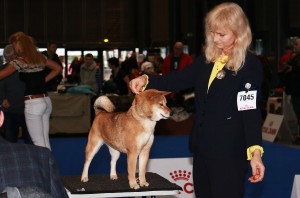 Manami Prima Nova 51372691_1210912289086833_2237131499642028032_n.jpg