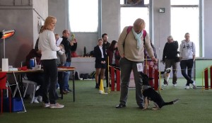 Diktování posudku... cesky-strakaty-pes--klub.v.-2019--9-.jpg