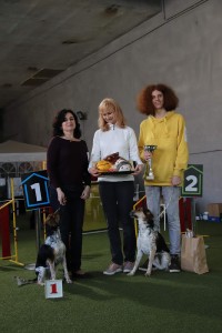 Vítězná fena BOB a pes BOS cesky-strakaty-pes--klub.v.-2019--19-.jpg