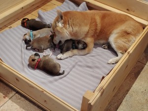 W Prima Nova :) 20200506_144307-1-.jpg