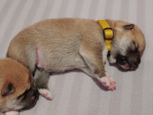 Fenka 20200506_142656-1-.jpg